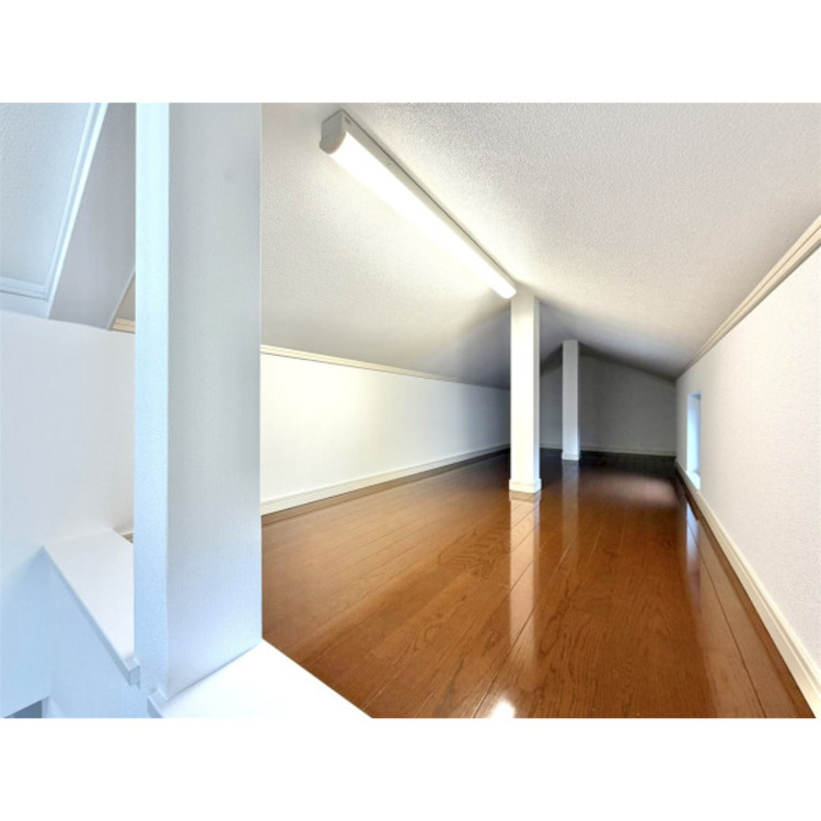 その他 2025年10月撮影/ロフト