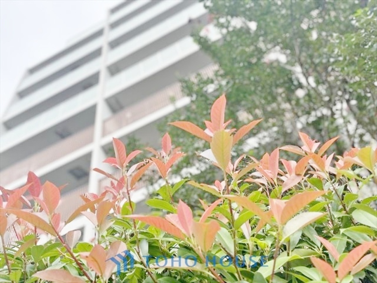 外観 ◆水面に映る◆紅葉を纏った山々を眺め、美しさのあまり感嘆のため息を漏らした事は無いだろうか。いつしか忘れかけていた自然の美しさと力強さを思い出させてくれる、そんな景色がここにもある。