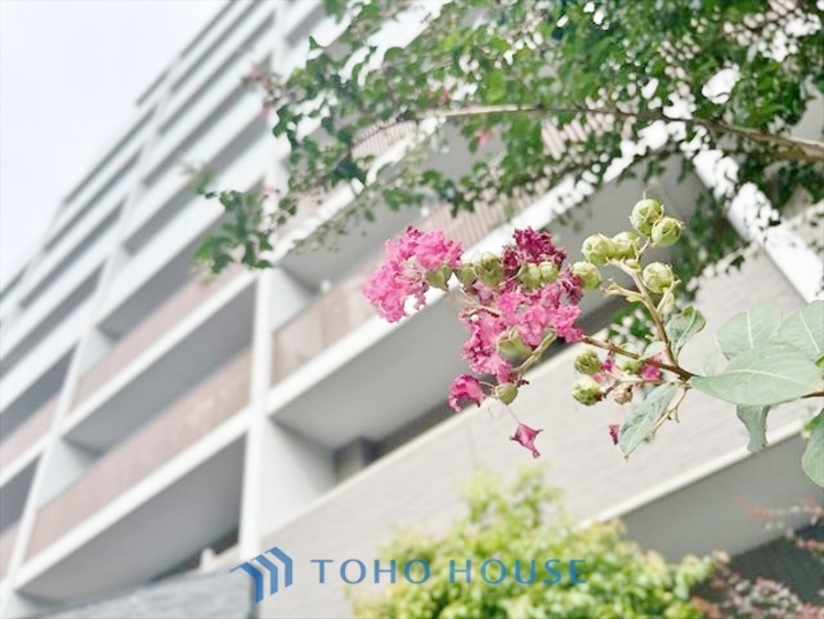 外観 ◆居心地のいい暮らし◆には欠かせない眩い採光。ゆったりとした幅の窓からこの空間に降り注ぐ採光が絶えない。明るいリビングこそ居心地のいい暮らしが待っているのだと思う。