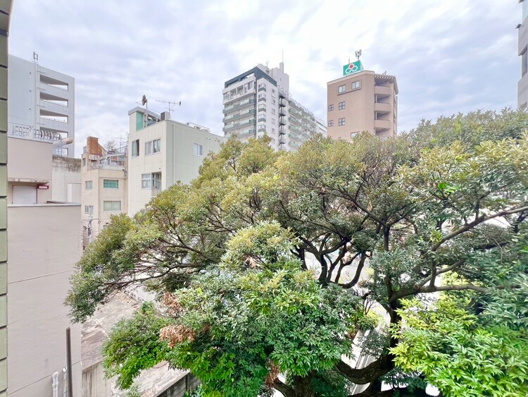 その他 眺望や窓からの景色が良いと、家で過ごす時間も快適です。