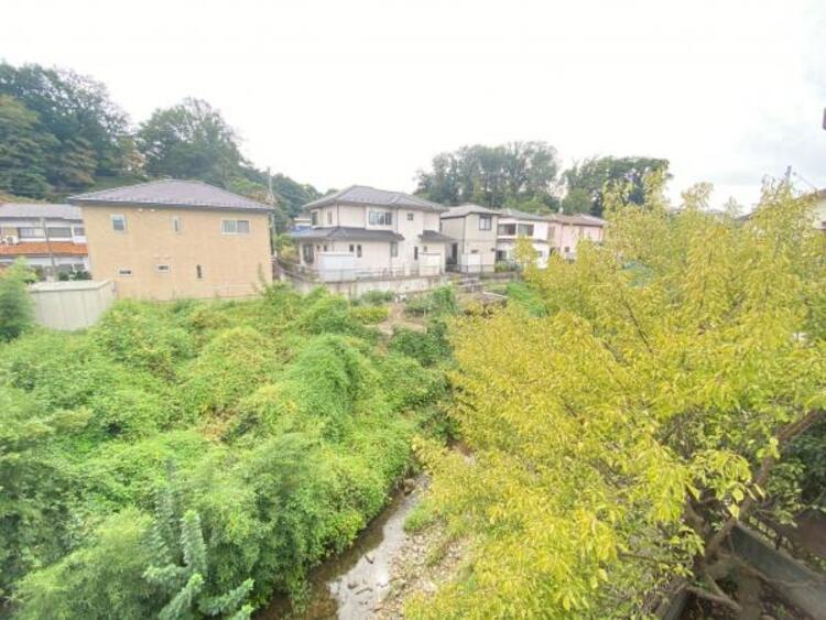 その他 【2025年10月撮影】