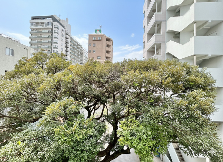 バルコニー 窓を開けると広がる青空。心をリフレッシュして日々を過ごしていきましょう。