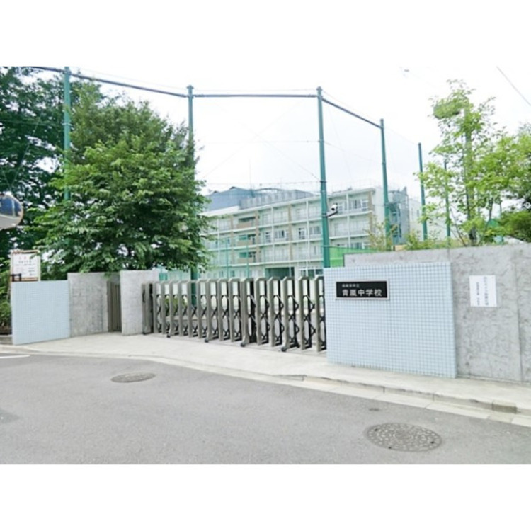 周辺 青嵐中学校(約960m)
