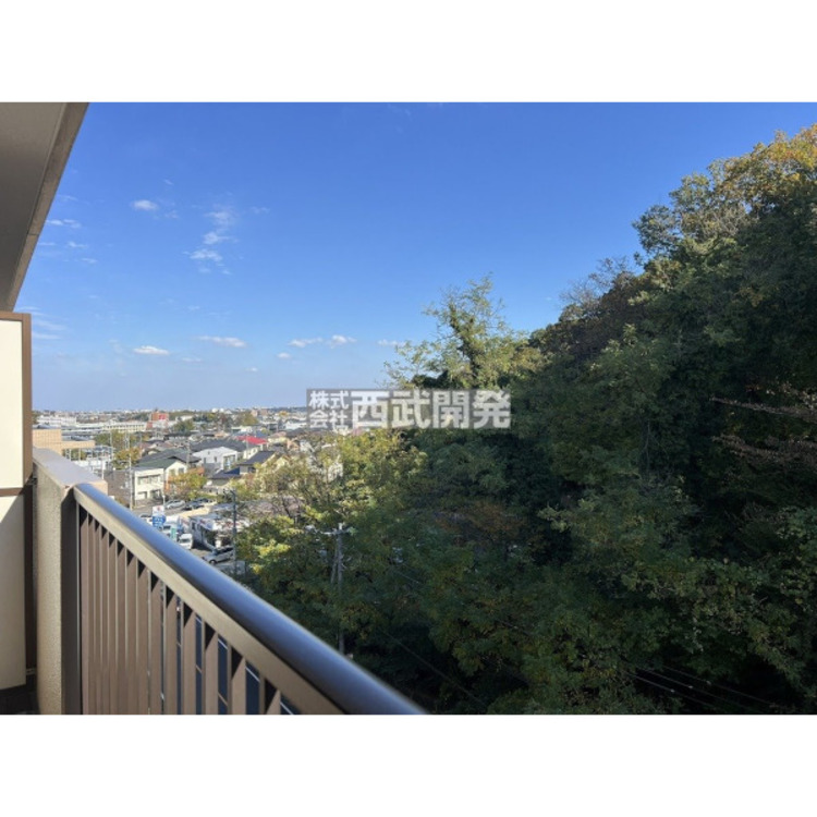 その他 バルコニーからの眺望