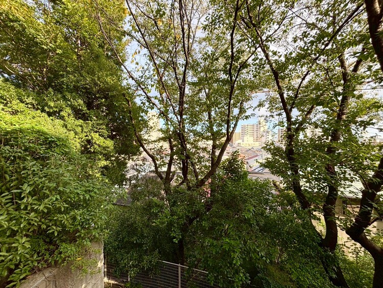 その他 陽当たり・通風・開放感に恵まれた環境です。