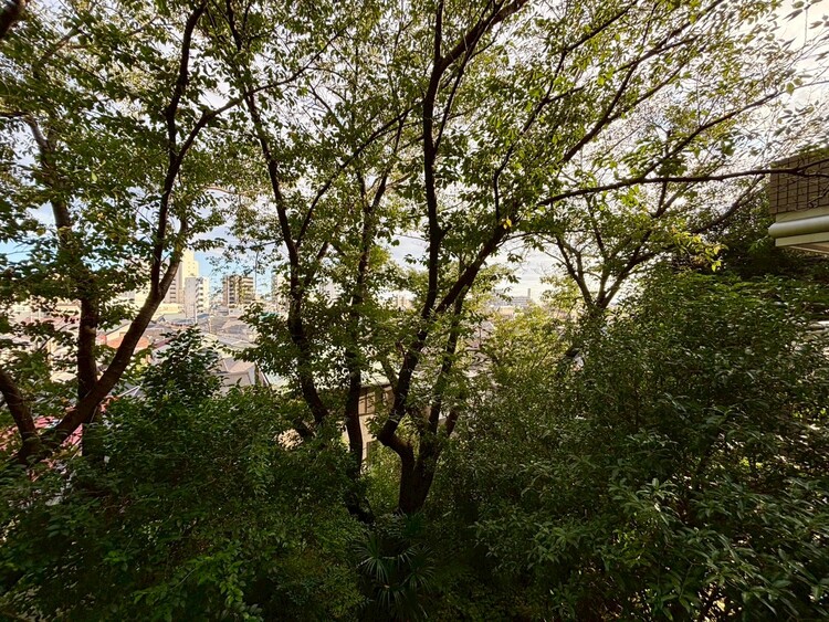 その他 眺望や窓からの景色が良いと、家で過ごす時間も快適です。