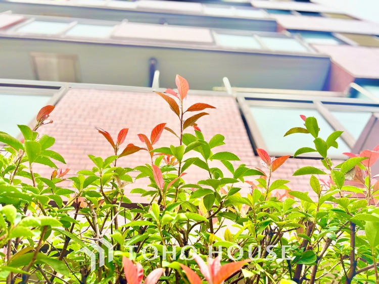 外観 ほんの少しのこだわり。ちょっとした色使いがその家がもつ雰囲気、趣（おもむき）を携え、暮らす家族や訪ねてくる友人・知人に新鮮な香りを運んできます。