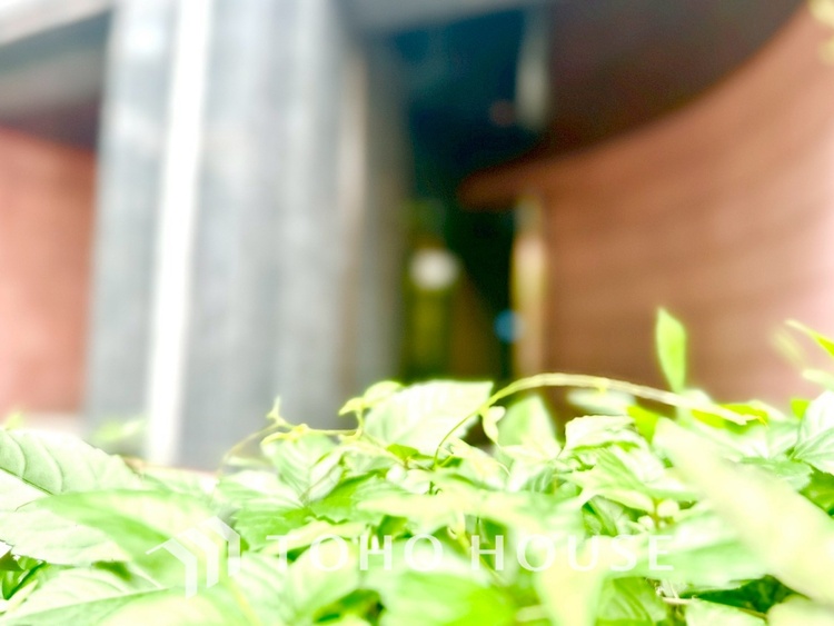 外観 【APPEARANCE】◆安らぎ◆整然と整備された街に風が吹き、木々が揺れる。絵にかいたような心安らぐ環境です。