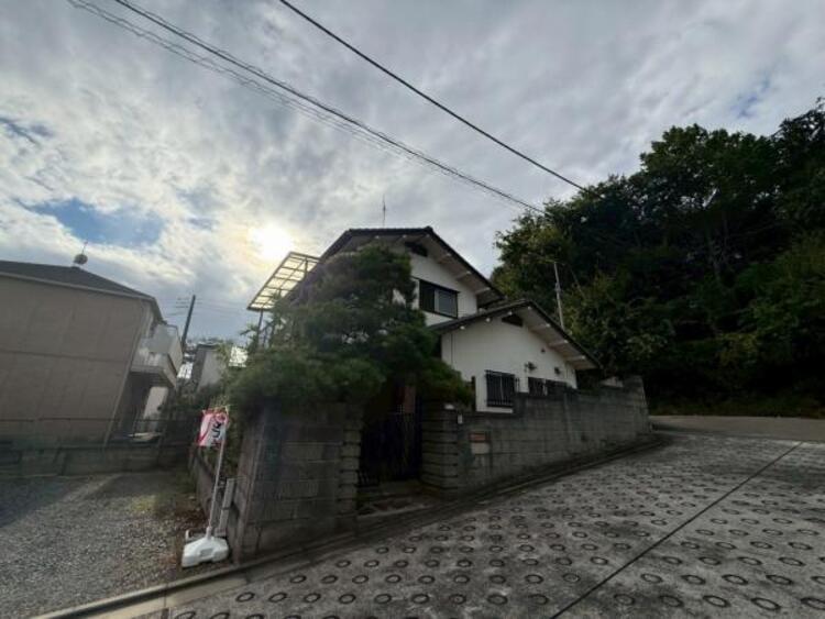 その他 【2025年10月撮影】