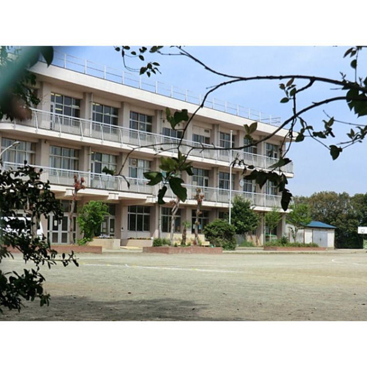 周辺 中央中学校(約2600m)