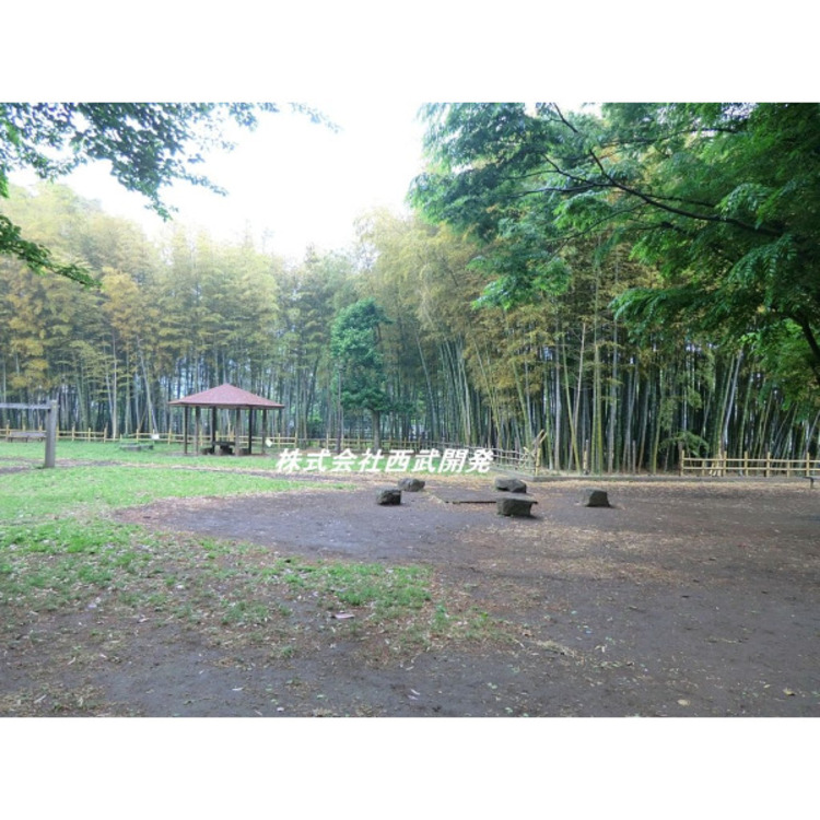 周辺 たけのこ公園(約530m)