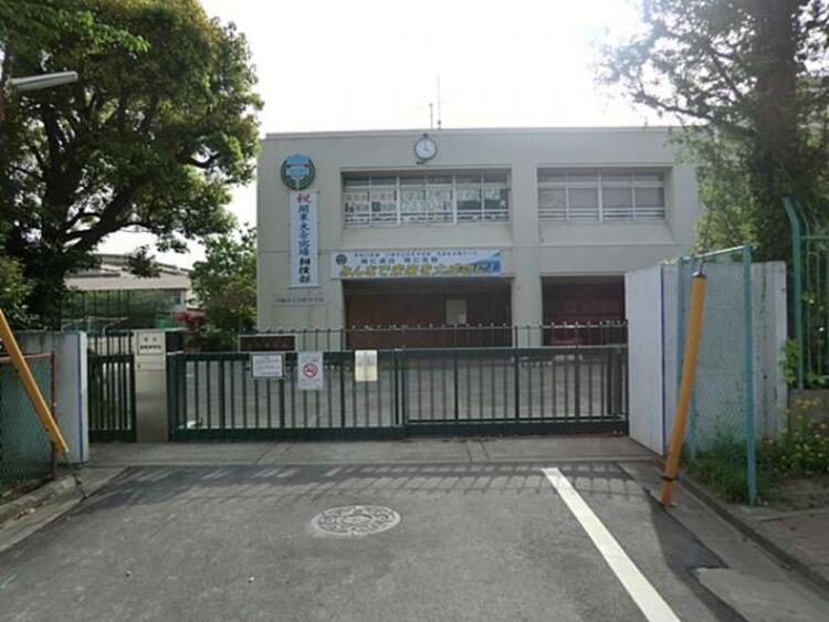 周辺 川崎市立京町中学校　520ｍ
