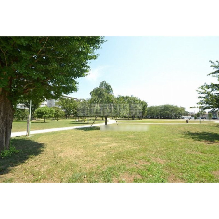 周辺 福岡中央公園(約160m)