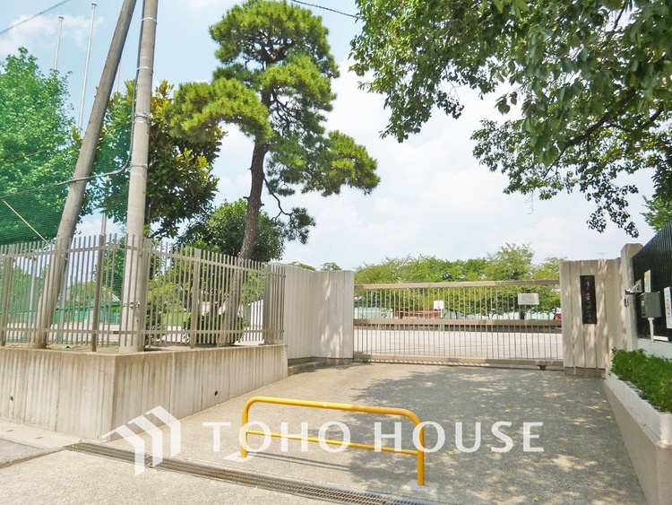 周辺 川崎市立宿河原小学校　距離800ｍ