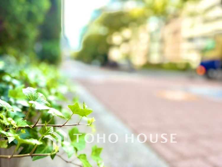 外観 【APPEARANCE】◆安らぎ◆整然と整備された街に風が吹き、木々が揺れる。絵にかいたような心安らぐ環境です。