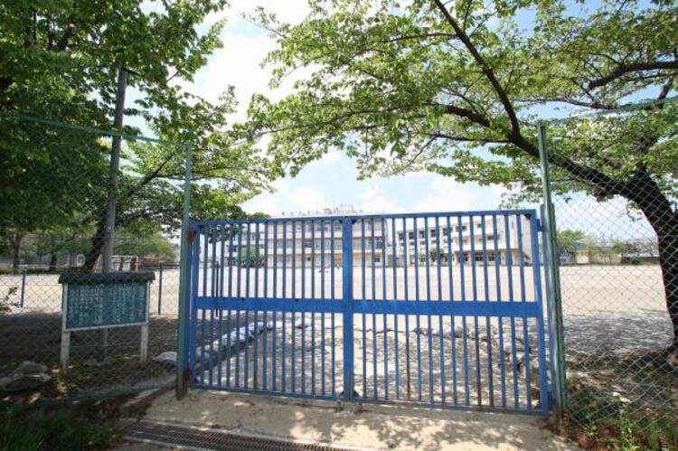 その他 南中学校まで約1229ｍ