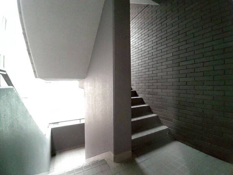 その他 共用部の階段です。明るく清潔に管理されています。