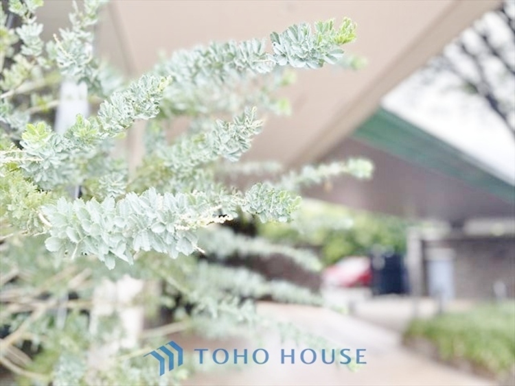 外観 ◆居心地のいい暮らし◆には欠かせない眩い採光。ゆったりとした幅の窓からこの空間に降り注ぐ採光が絶えない。明るいリビングこそ居心地のいい暮らしが待っているのだと思う。