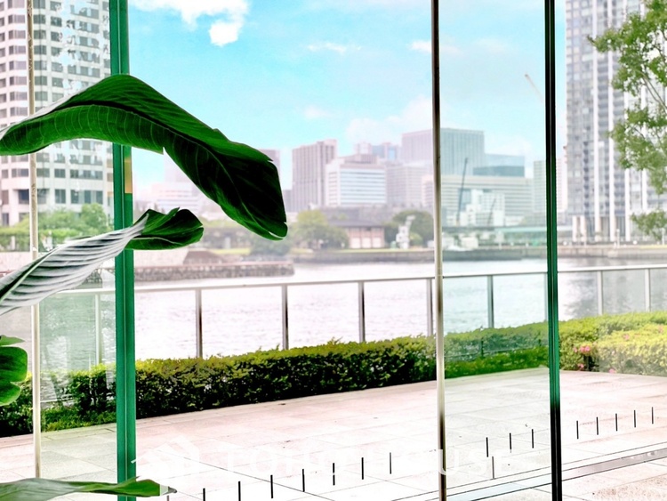 その他 【APPEARANCE】◆弾む思い◆我が家に帰る楽しみに、心掻き立てられる。心弾む。