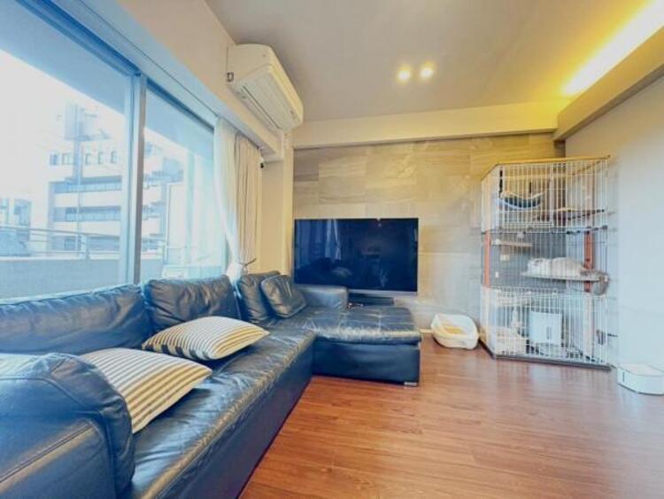 居間 ペット2匹まで飼育可能です