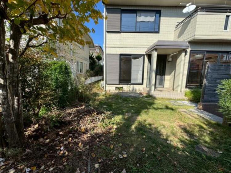 その他 【2025年11月撮影】