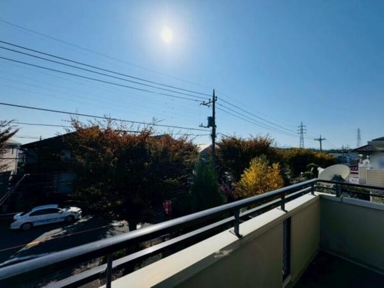 その他 【2025年11月撮影】