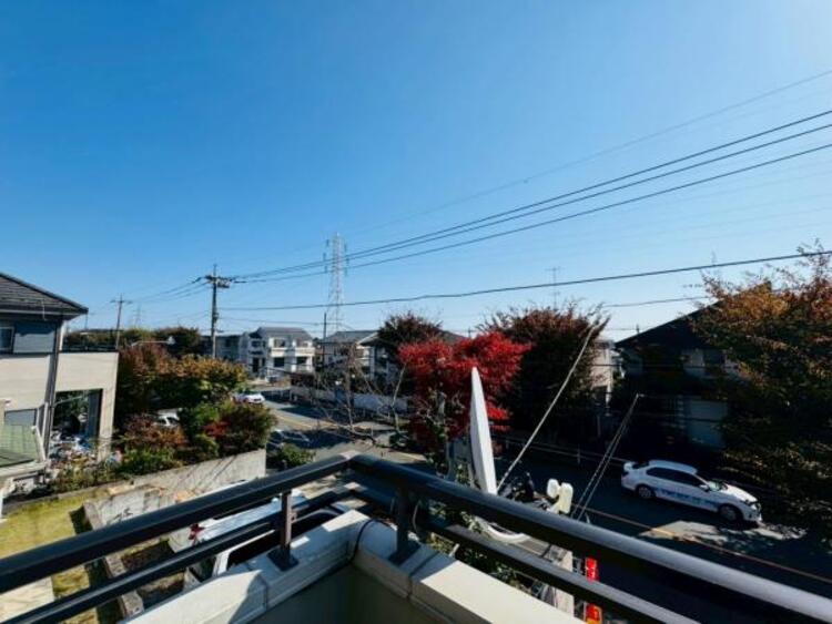 その他 【2025年11月撮影】