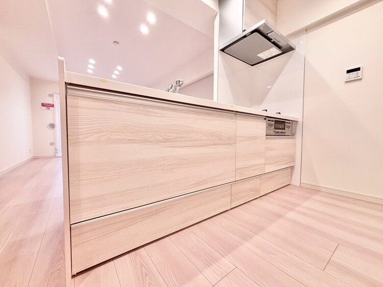 その他 使いやすくスタイリッシュなキッチン空間になっております。