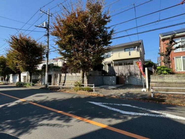 その他 【2025年11月撮影】