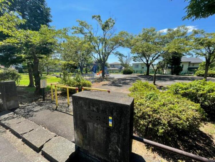 周辺 海公園迄300ｍ