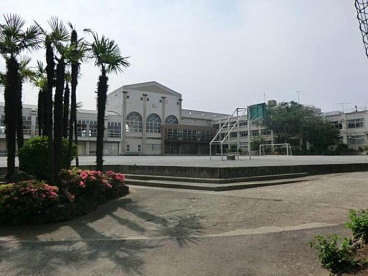 周辺 馬込中学校	600m	