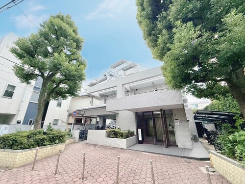 コスモ旗の台の画像