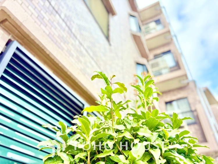 外観 明るく大きなリビングは、家族の安心と快適を育む空間。のびやかな広さが毎日の暮らしをより豊かに彩ります。