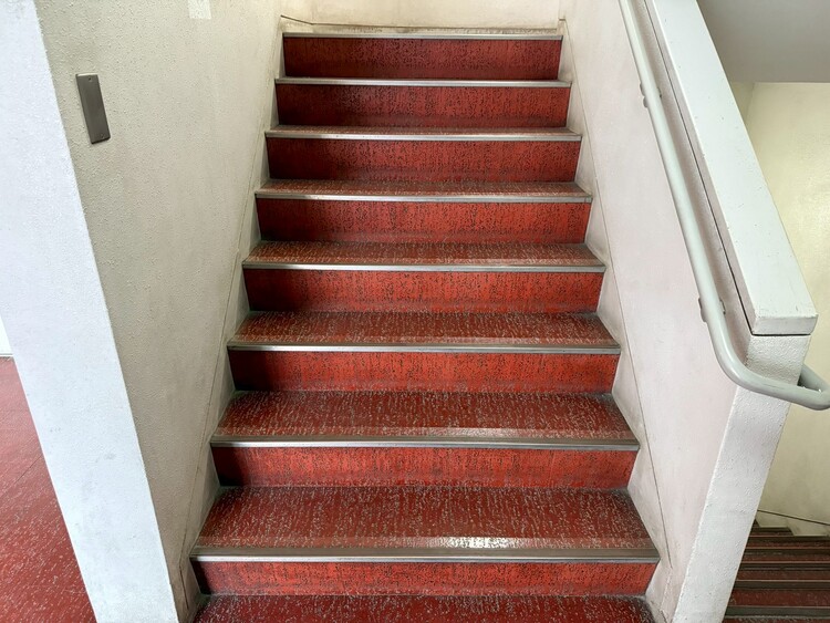 その他 共用部の階段です。明るく清潔に管理されています。