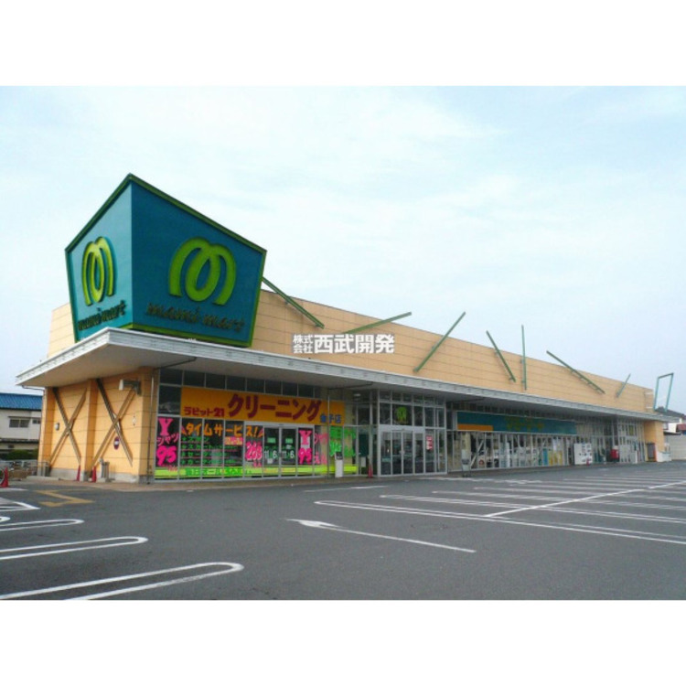 周辺 マミーマート金子店(約310m)