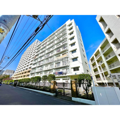 カクタス田無の物件画像