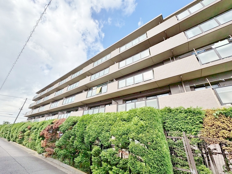 その他 飽きのこないシンプルモダンな外観です。