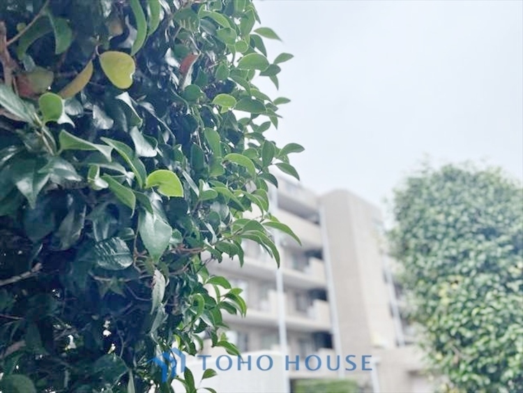 外観 ◆水面に映る◆紅葉を纏った山々を眺め、美しさのあまり感嘆のため息を漏らした事は無いだろうか。いつしか忘れかけていた自然の美しさと力強さを思い出させてくれる、そんな景色がここにもある。