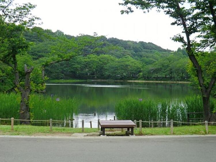 周辺 三ツ池公園まで約1700ｍ