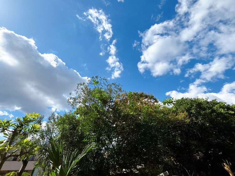 バルコニー 窓を開けると広がる青空。心をリフレッシュして日々を過ごしていきましょう。