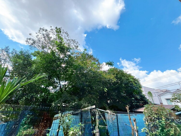 バルコニー 頬をなでる、優しい風を感じることが出来ます。