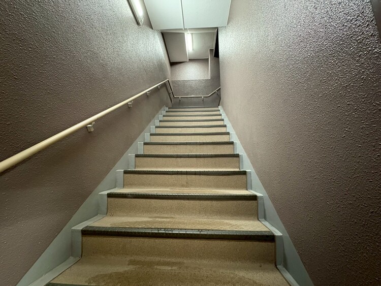 その他 共用部の階段です。明るく清潔に管理されています。
