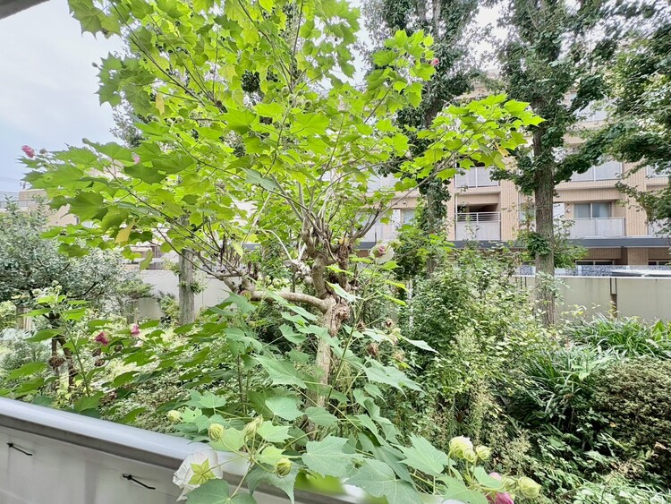 その他 陽当たり・通風・開放感に恵まれた環境です。