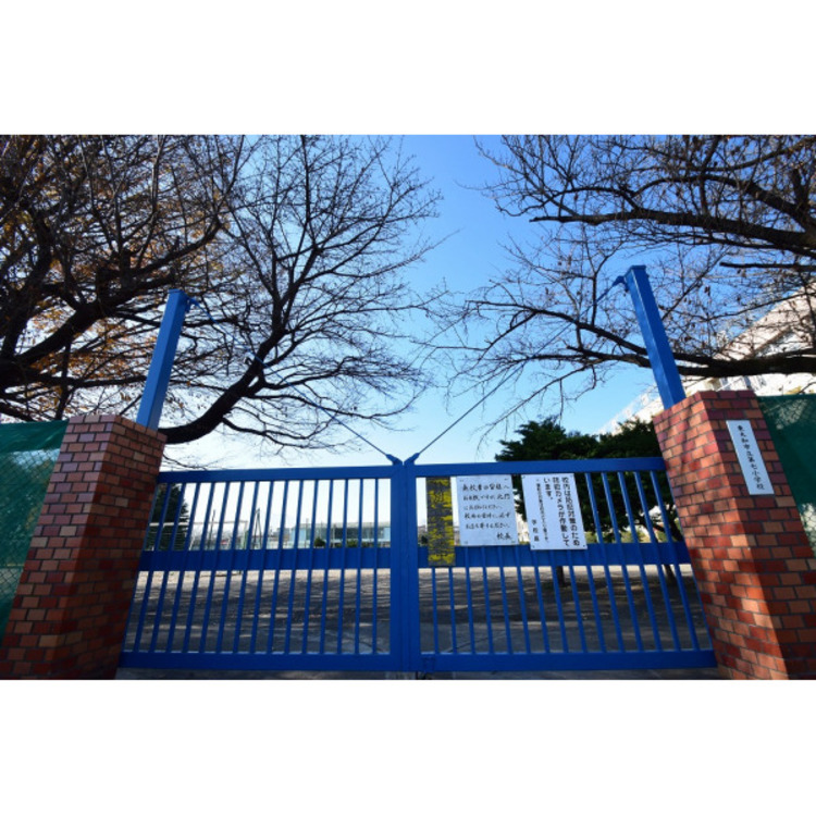 周辺 第七小学校(約850m)