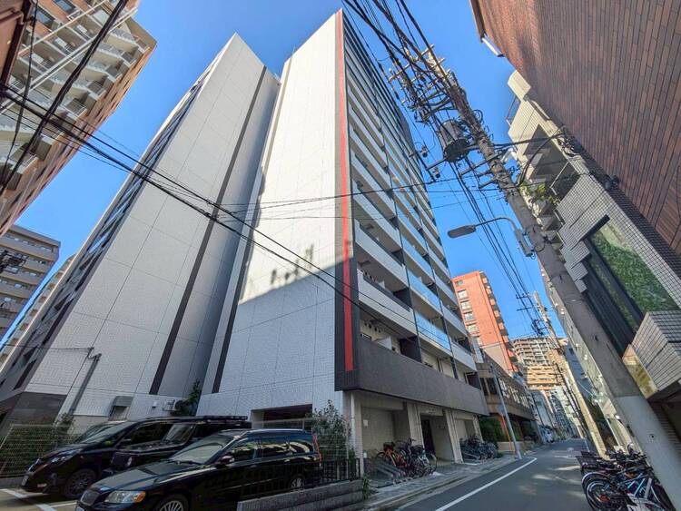 その他 忙しく過ぎゆく日常を置き去るほど、ゆったりした時間が流れる住環境。