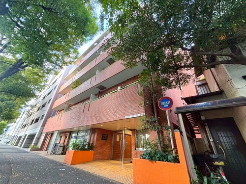 フジタ野沢マンションの物件画像