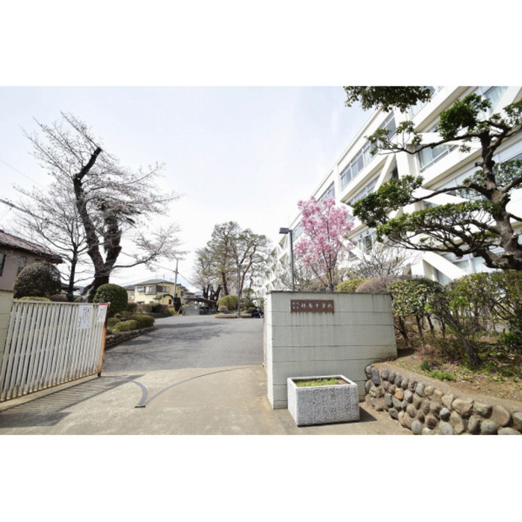 周辺 拝島中学校(約1090m)