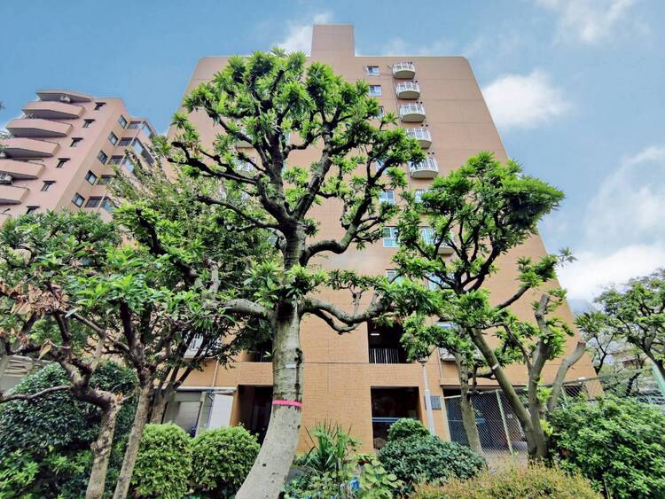 その他 忙しく過ぎゆく日常を置き去るほど、ゆったりした時間が流れる住環境。