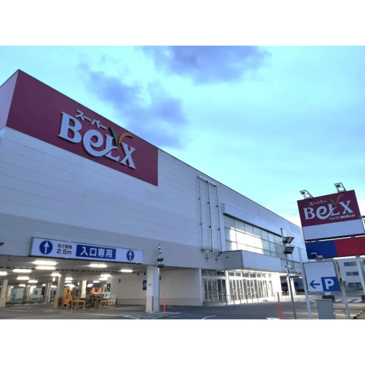 周辺 ベルクス(約880m)