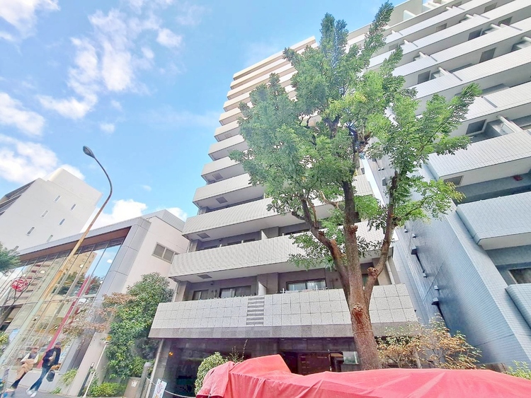 その他 飽きのこないシンプルモダンな外観です。